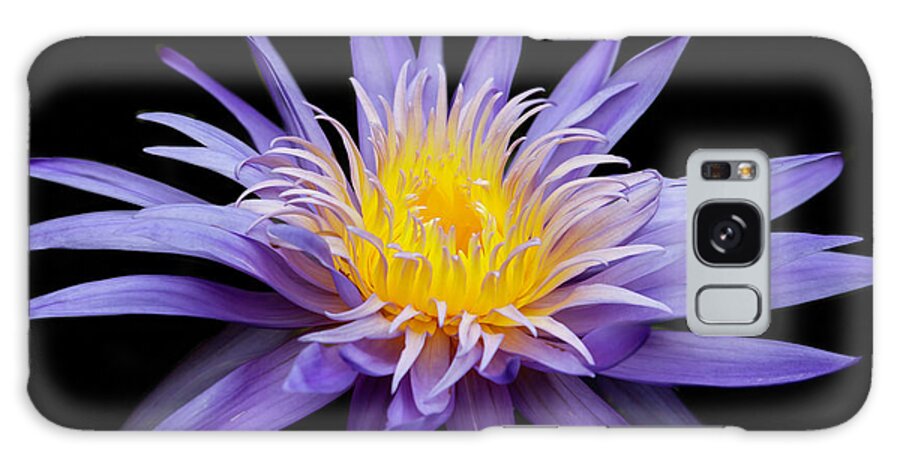 Spring Galaxy Case featuring the photograph Water Lily Spiky and Purple by Sabrina L Ryan