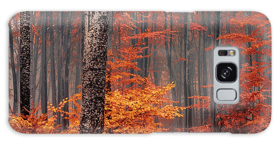 Mist Galaxy Case featuring the photograph Welcome To Orange Forest by Evgeni Dinev