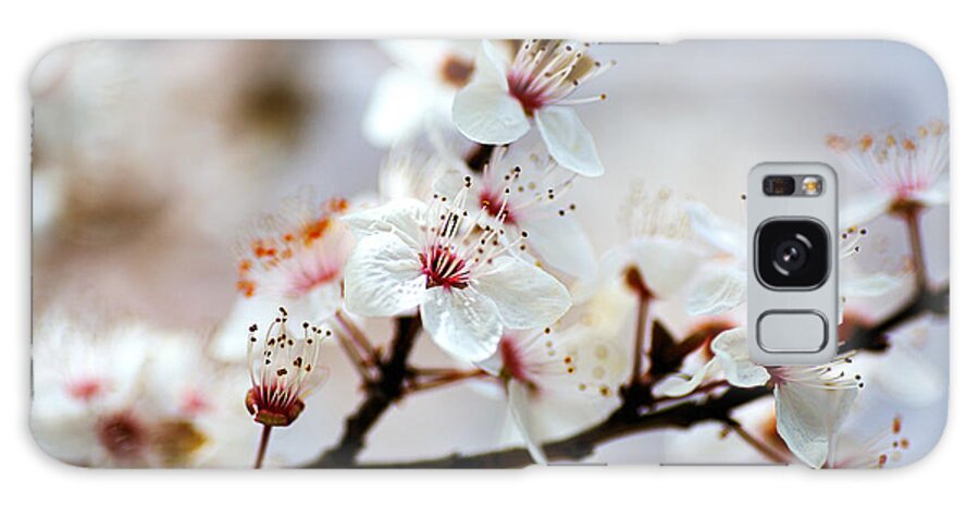 Whispering In White Blossom Galaxy Case featuring the photograph Whispering In White Blossom by Joy Watson