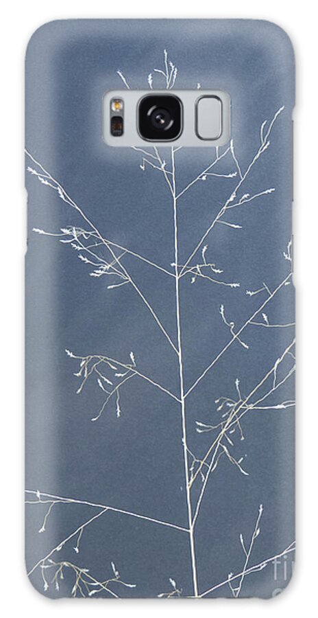 Photograph Galaxy Case featuring the photograph Wispy Stems of Grass by Christy Garavetto