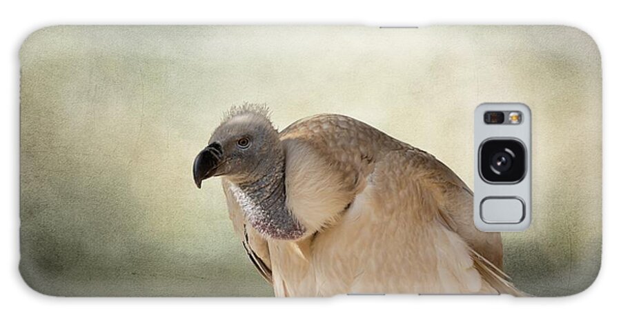 White-backed Vulture Galaxy Case featuring the photograph White-Backed Vulture by Eva Lechner