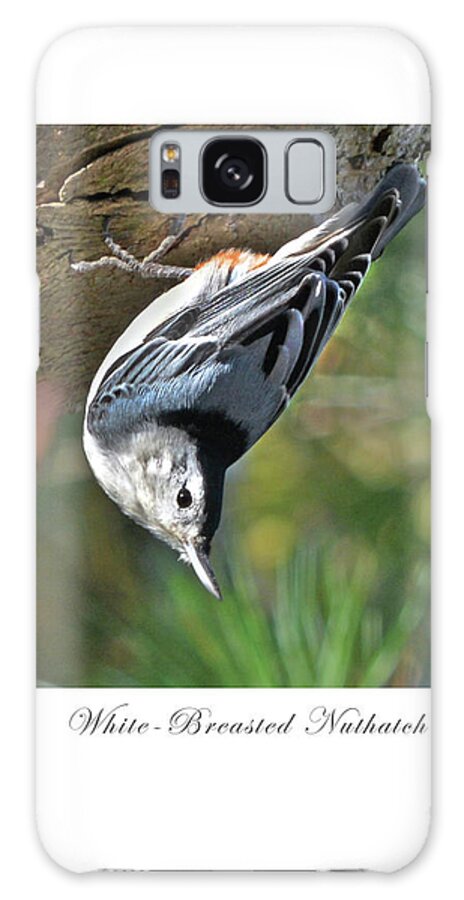 Nuthatch Galaxy Case featuring the photograph White Breasted Nuthatch by Dianne Morgado