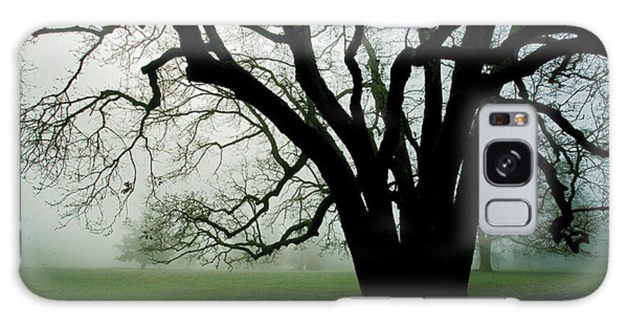 Fog Galaxy Case featuring the photograph White Oak in Fog by Rich Collins
