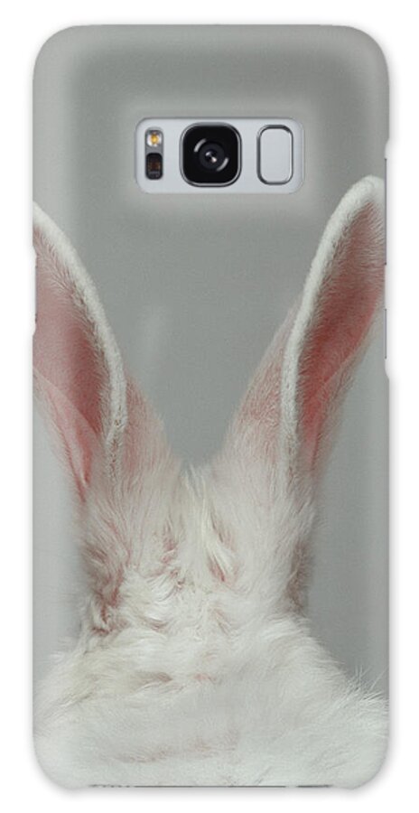 Animal Themes Galaxy Case featuring the photograph White Rabbit With Ears Up, Rear View by Daniel Day