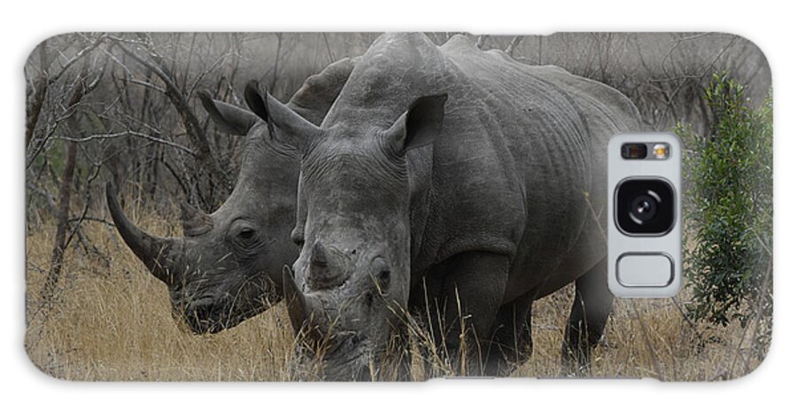 Rhinos Galaxy Case featuring the photograph White Rhino Pair by Ben Foster