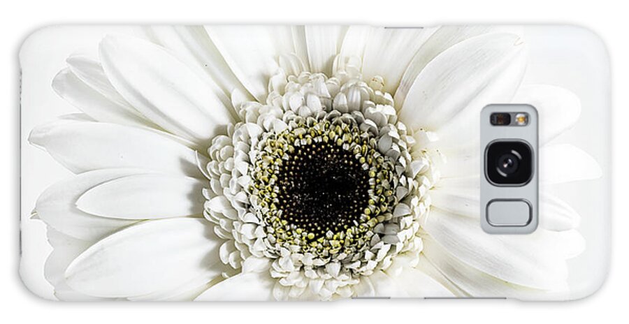 Daisy Galaxy Case featuring the photograph White by Sandi Kroll