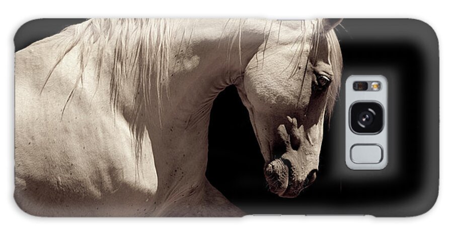 Horse Galaxy Case featuring the photograph White Stallion Horse Andalusian by 66north