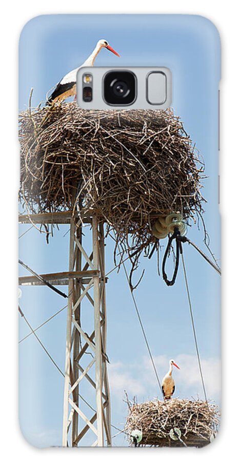 Bird Galaxy Case featuring the photograph White Storks (ciconia Ciconia) Nesting On Electricity Pylons In The Coto Donana In Andalucia, Spain. by Cavan Images