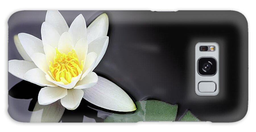 Black Color Galaxy Case featuring the photograph White Water Lily Nymphaea Alba Floating by Seraficus