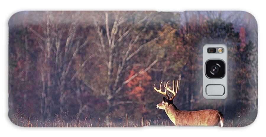 Looking Galaxy Case featuring the photograph Whitetail Buck Scanning Field by Keithszafranski