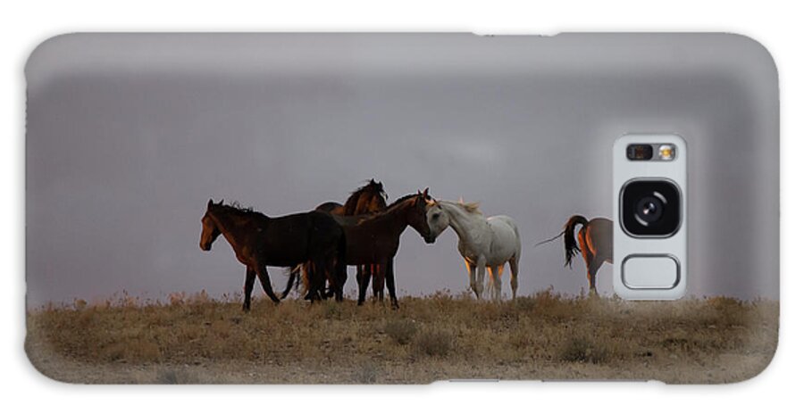 Wild Horse Galaxy Case featuring the photograph Wild Horses in Ute Country #2 by Jonathan Thompson