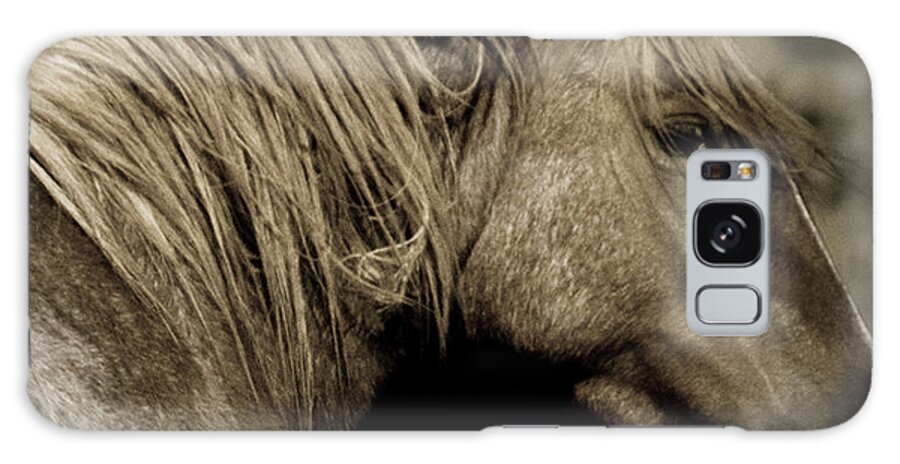 Andalusia Galaxy Case featuring the photograph Wild Mustangs of New Mexico 13 by Catherine Sobredo