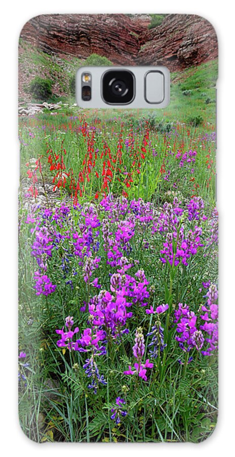 Colorado Galaxy Case featuring the photograph Wildflower Garden along Highway 145 by Ray Mathis
