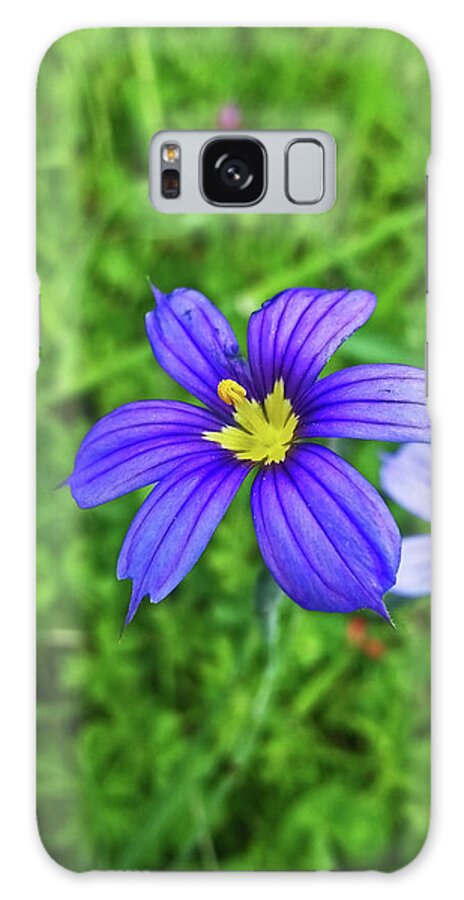 Flowering Trees Galaxy Case featuring the photograph Wildflowers 2 by Harold Zimmer