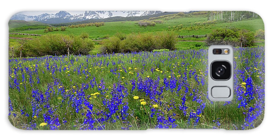 Ouray Galaxy Case featuring the photograph Wildflowers along Last Dollar Road by Ray Mathis