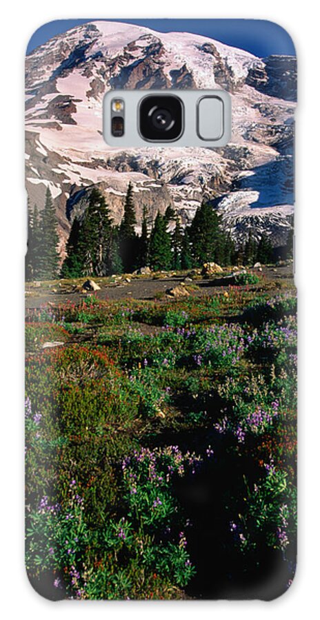 Outdoors Galaxy Case featuring the photograph Wildflowers Are Abundant On Paradise by John Elk