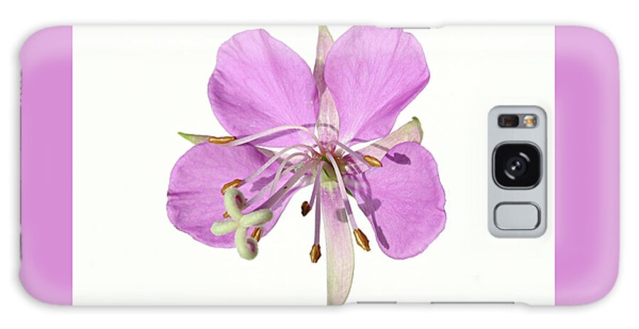 Close Up Galaxy Case featuring the photograph wildflowers pink fireweed Epilobium angustifolium by Robert C Paulson Jr