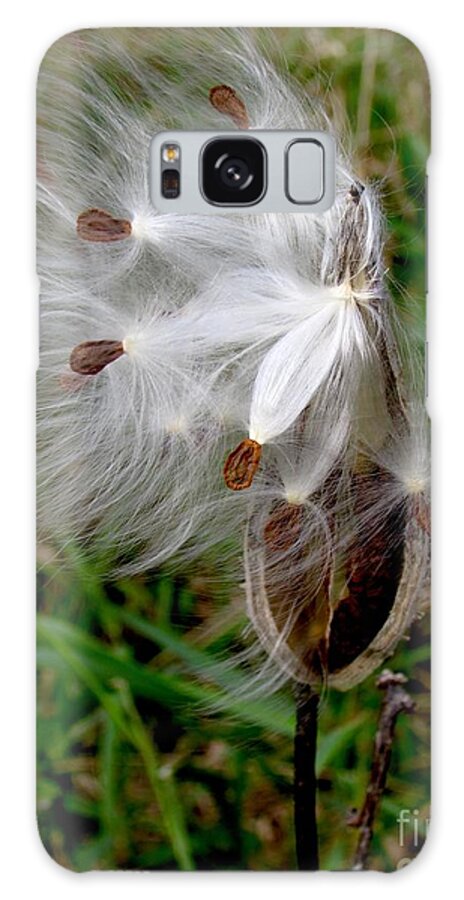 Milkweed Galaxy Case featuring the photograph Wind Dancers by Pamela Clements