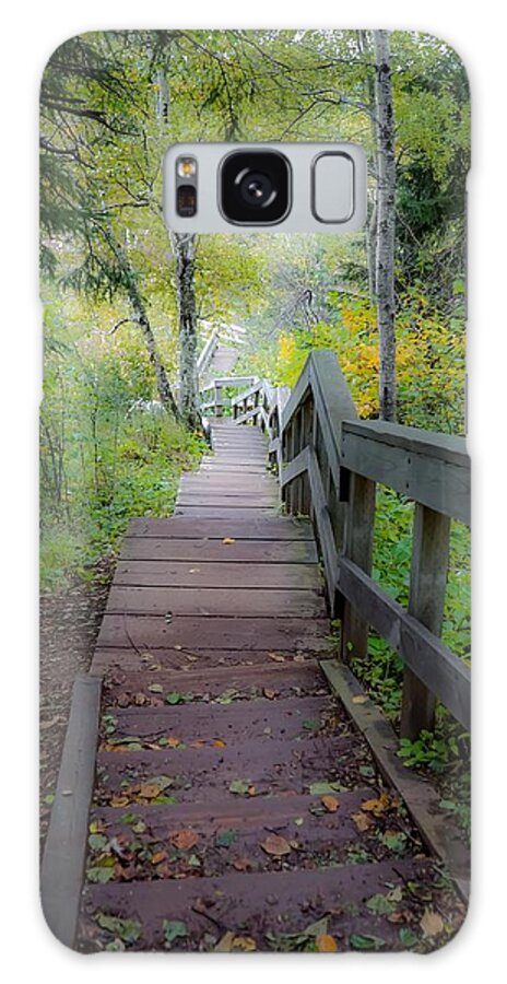 Tettegouche State Park Galaxy Case featuring the photograph Winding Stairs in Autumn by Susan Rydberg