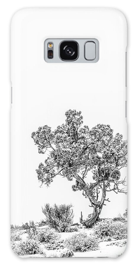Tree Galaxy Case featuring the photograph Winter Bonsai by Melissa Lipton