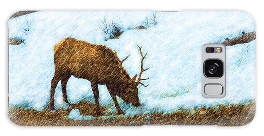 Elk Galaxy S8 Case featuring the photograph Winter Elk by River by Kae Cheatham