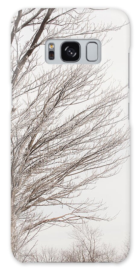 Blue Ridge Galaxy Case featuring the photograph Winter Hoarfrost by Mark Duehmig
