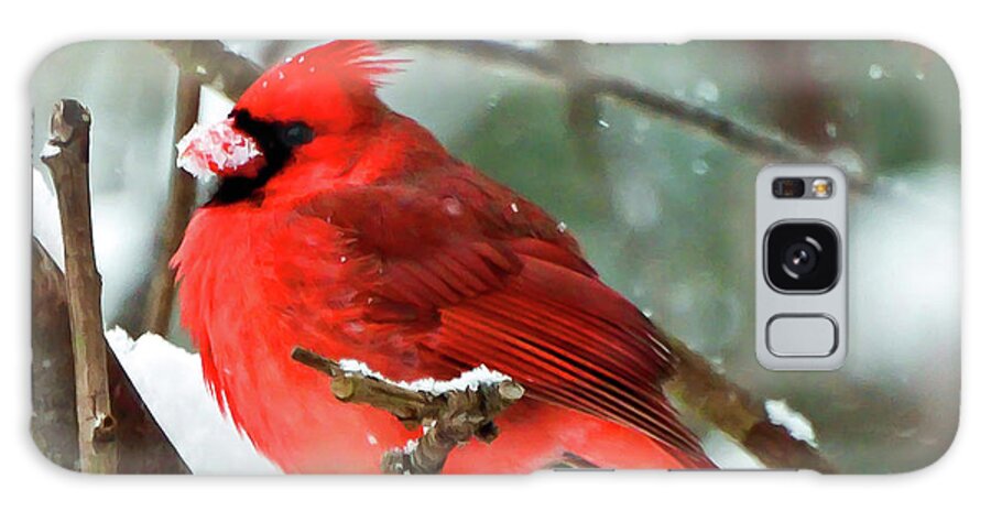 Cardinal Galaxy S8 Case featuring the photograph Winter Red Bird - Male Northern Cardinal with a Snow Beak by Kerri Farley