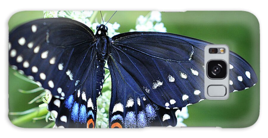 Swallowtail Butterfly Photography Galaxy Case featuring the photograph Wonder by Michelle Wermuth