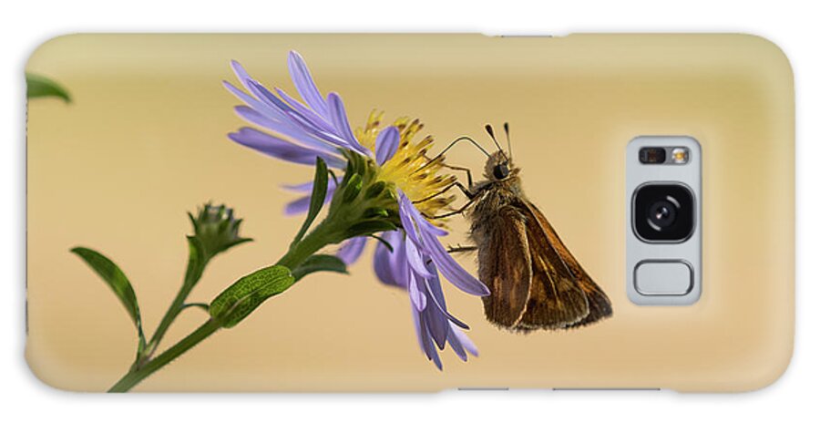Animals Galaxy S8 Case featuring the photograph Woodland Skipper on Aster by Robert Potts