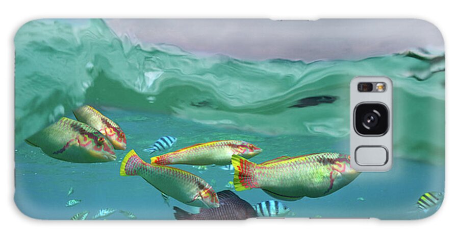 00586463 Galaxy Case featuring the photograph Wrasse, Surgeonfish, And Sergeant Major Damselfish, Negros Oriental, Philippines by Tim Fitzharris