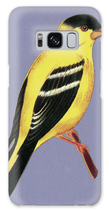 Animal Galaxy Case featuring the drawing Yellow and Black Bird by CSA Images