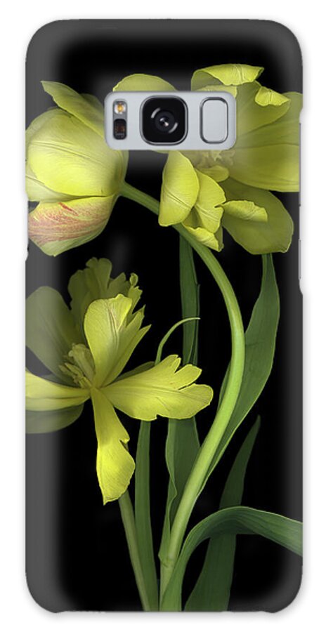 Yellow Dutch Tulips Galaxy Case featuring the painting Yellow Dutch Tulip #1 by Susan S. Barmon