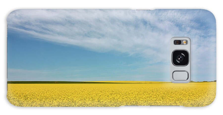 Scenics Galaxy Case featuring the photograph Yellow Green Canola Field And Blue Sky by Virginia Zozaya