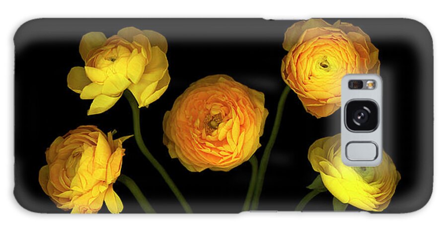 Five Yellow Ranunculus Galaxy Case featuring the painting Yellow Ranunculus #3 by Susan S. Barmon