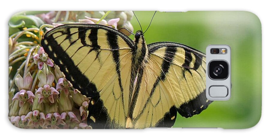 Butterfly Galaxy Case featuring the photograph Yellow Swallowtail Butterfly by Susan Rydberg