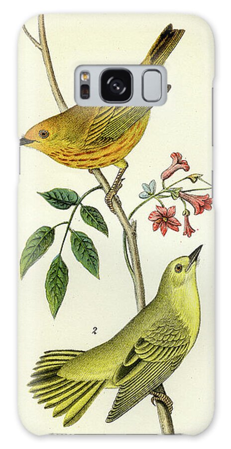 Bird Galaxy S8 Case featuring the mixed media Yellow Warbler by Unknown