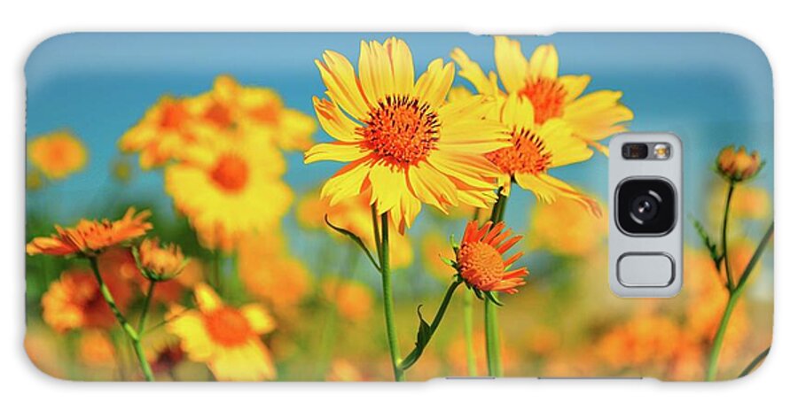 New Mexico Galaxy Case featuring the photograph Yellow Wildflowers by Sandy L. Kirkner
