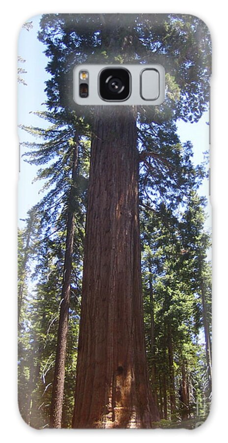 Yosemite Galaxy Case featuring the photograph Yosemite National Park Mariposa Grove Giant Ancient Trees View by John Shiron