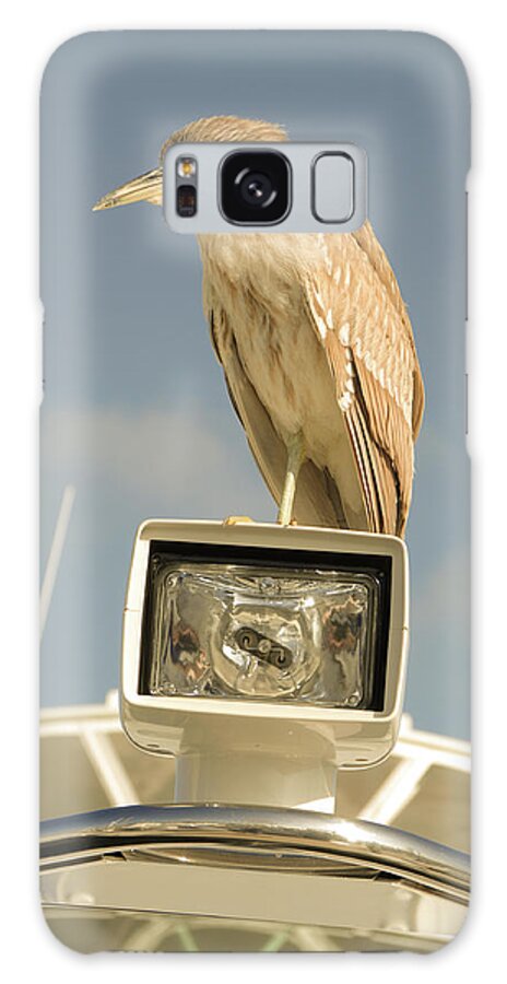 Heron Galaxy Case featuring the photograph Young Black-crowned night heron by David Shuler