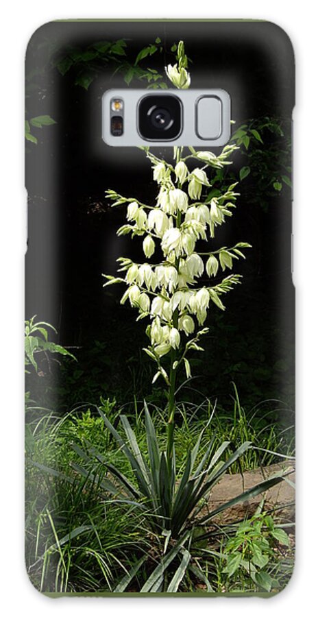 Yucca Galaxy Case featuring the photograph Yucca Blossoms by Nancy Ayanna Wyatt