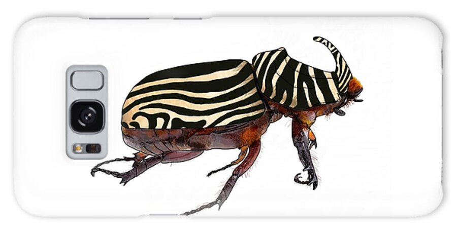 Rhinoceros Beetle Galaxy Case featuring the drawing Zebra Striped Rhinoceros Beetle On White by Joan Stratton