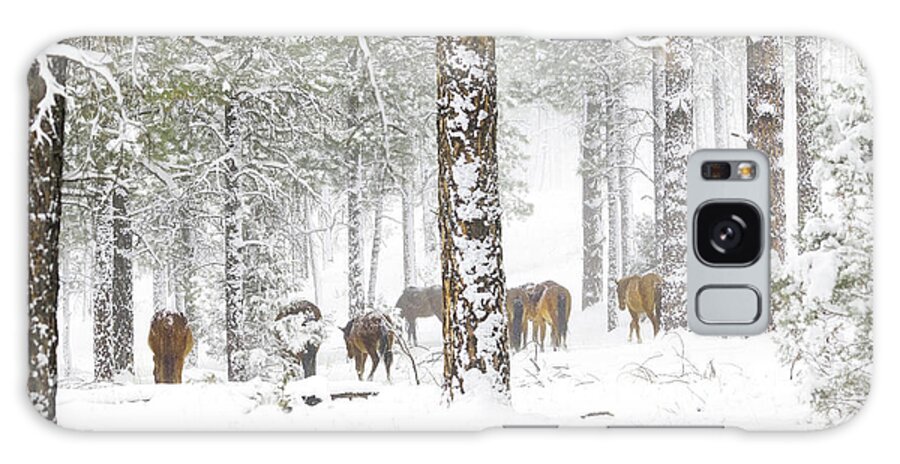 Stallion Galaxy Case featuring the photograph Winter in the Forest. by Paul Martin
