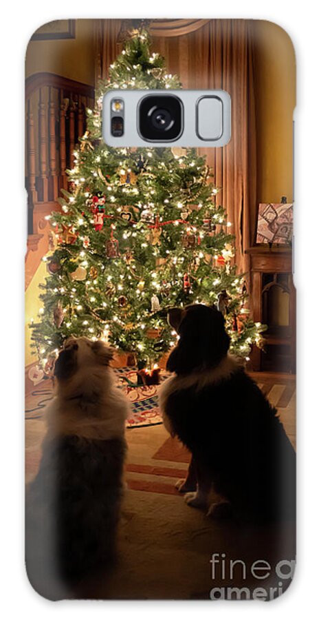 Australian Shepherd Galaxy Case featuring the photograph Aussie Christmas #1 by Cathy Donohoue