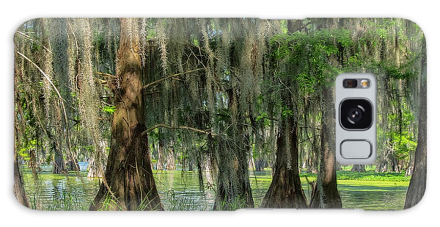 America Galaxy Case featuring the photograph Bald cypresses, Lake Martin, Louisiana by Patricia Hofmeester