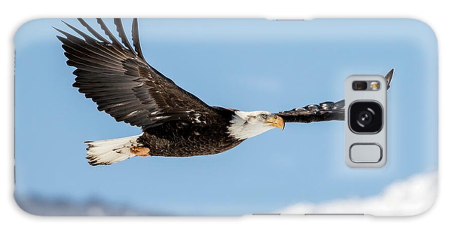  Galaxy Case featuring the photograph Bald Eagle #1 by John T Humphrey