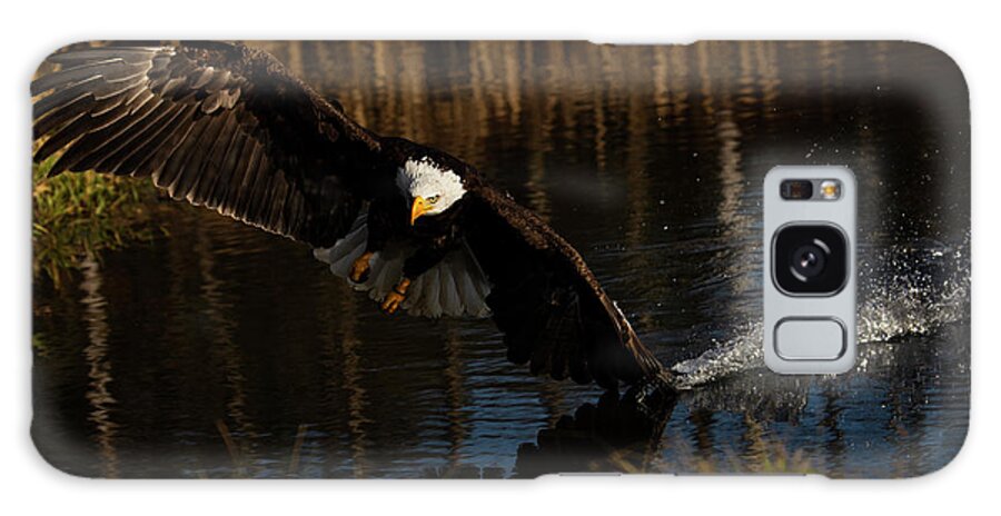 Bald Eagle Galaxy Case featuring the photograph Bald Eagle #1 by JT Lewis