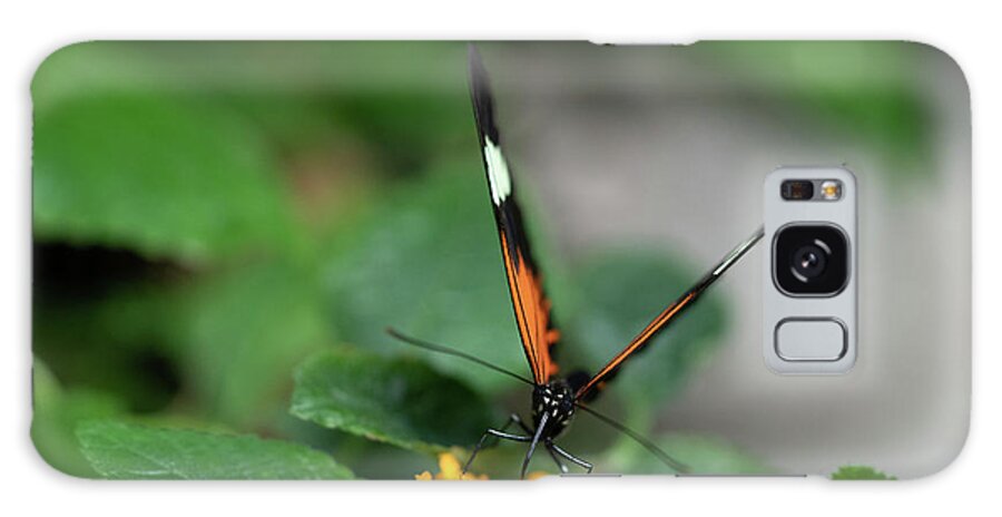 Insect Galaxy Case featuring the photograph Butterfly on Lantana #1 by Cathy Donohoue