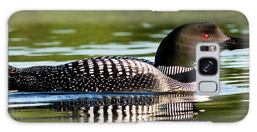 Common Loon Galaxy Case featuring the photograph Common Loon #3 by John Rowe