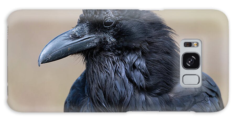 Raven Galaxy Case featuring the photograph Curious #1 by Mary Hone
