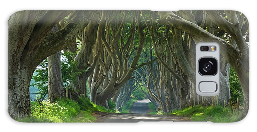 Dark Hedges Galaxy Case featuring the photograph Dark Hedges, County Antrim, Northern Ireland by Neale And Judith Clark